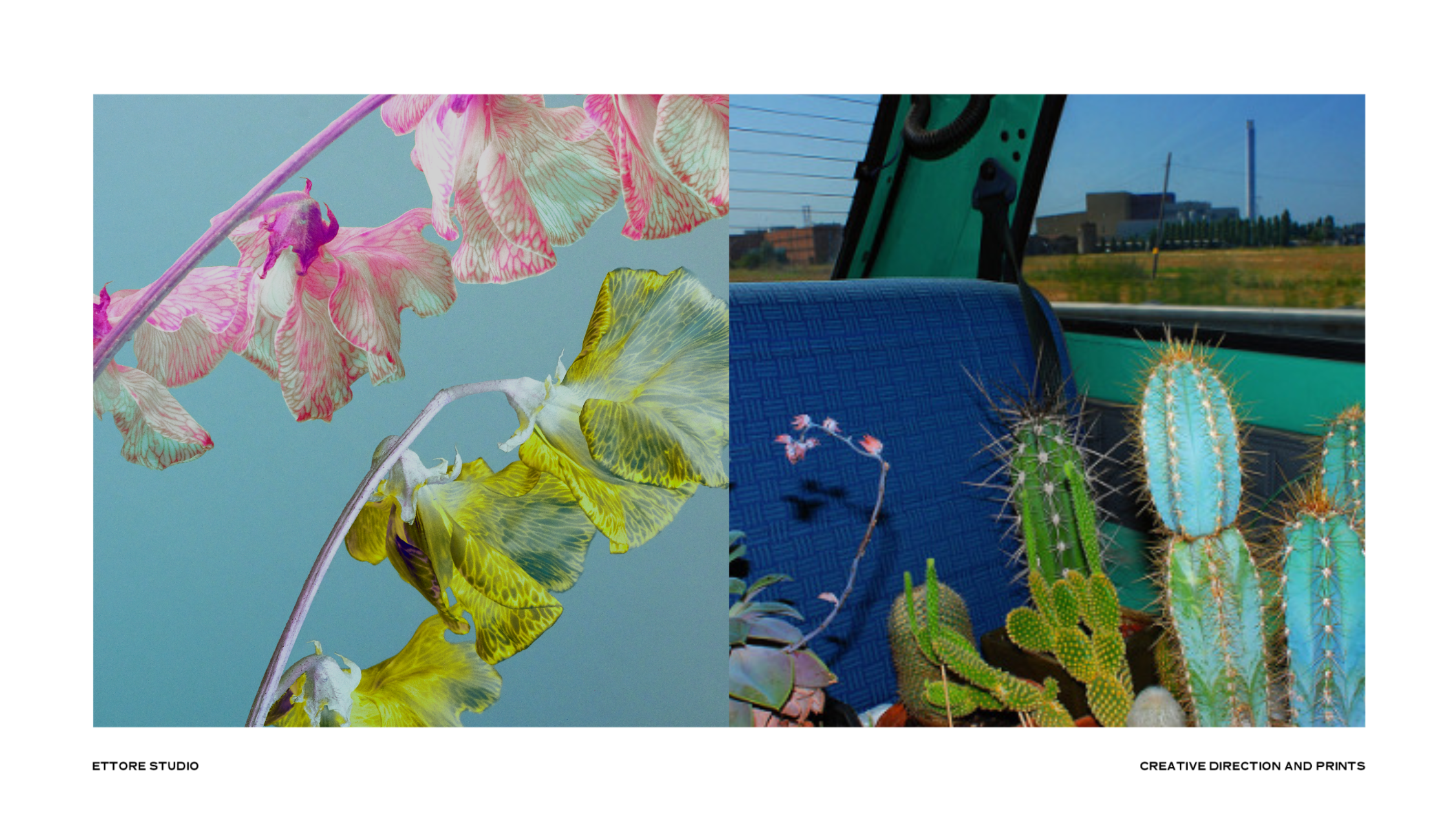 Ettore studio - creative direction, print design & photography