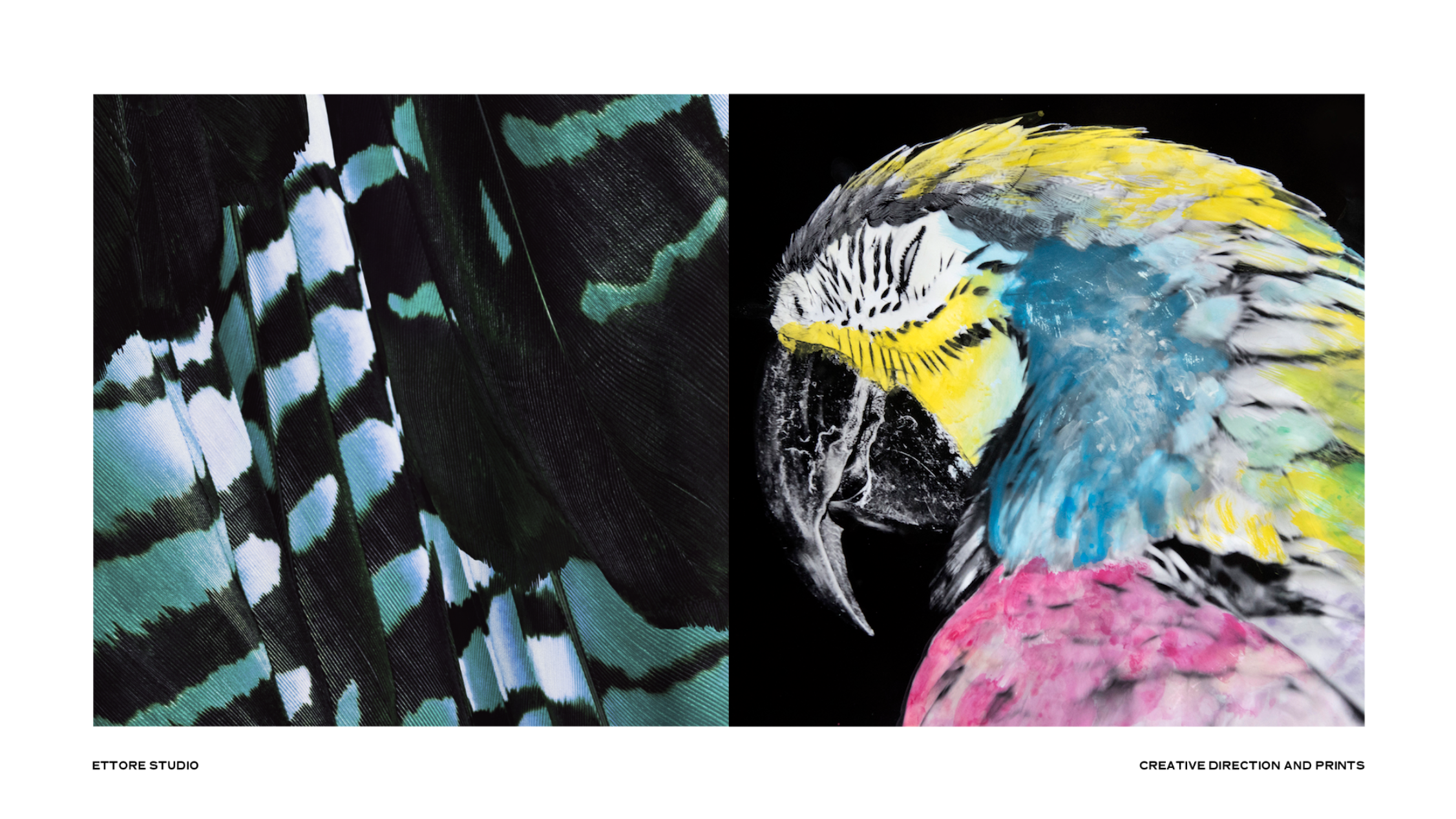 Ettore studio - creative direction, print design & photography