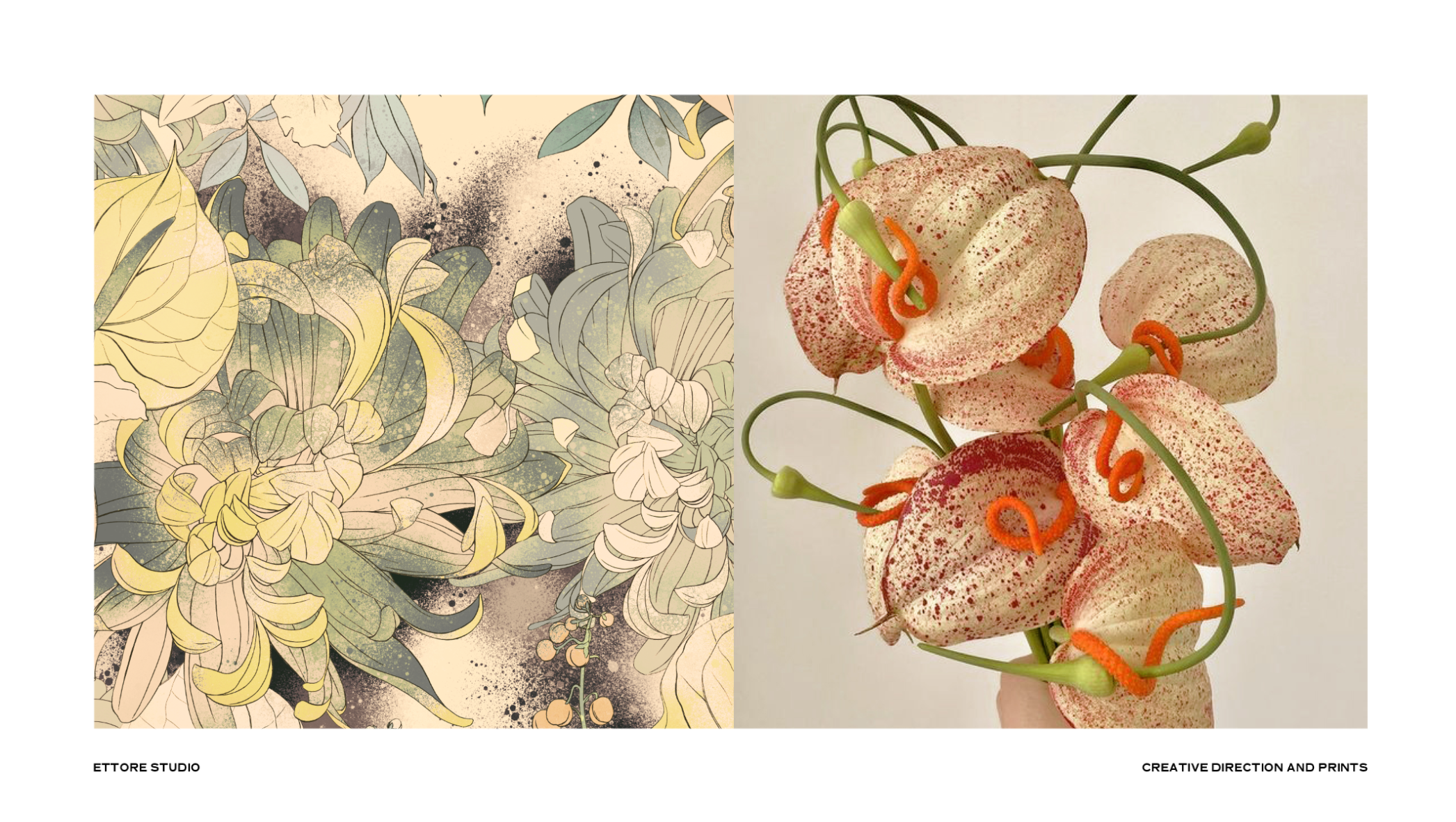 Ettore studio - creative direction, print design & photography