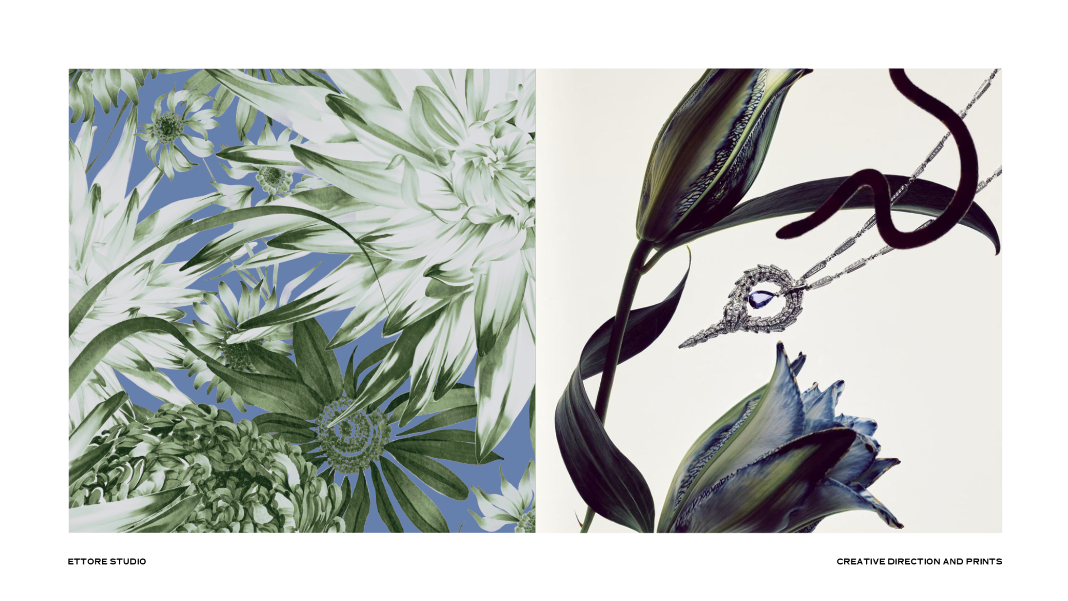 Ettore studio - creative direction, print design & photography