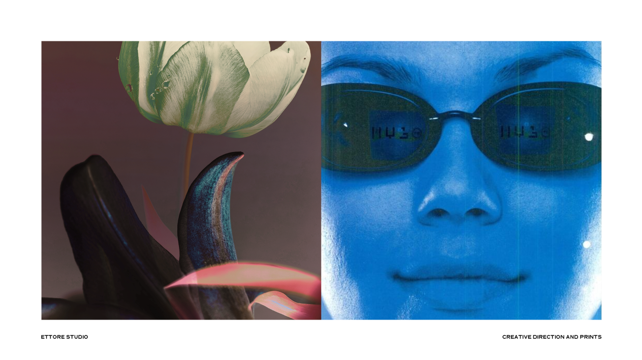 Ettore studio - creative direction, print design & photography