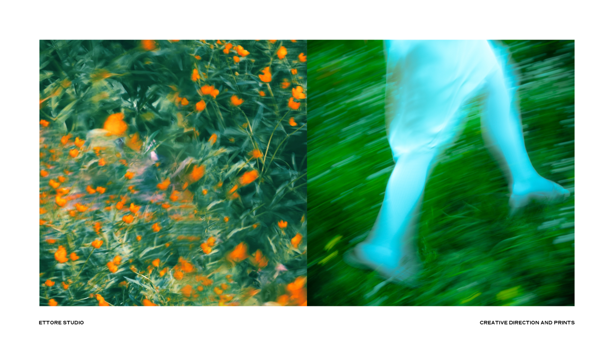 Ettore studio - creative direction, print design & photography