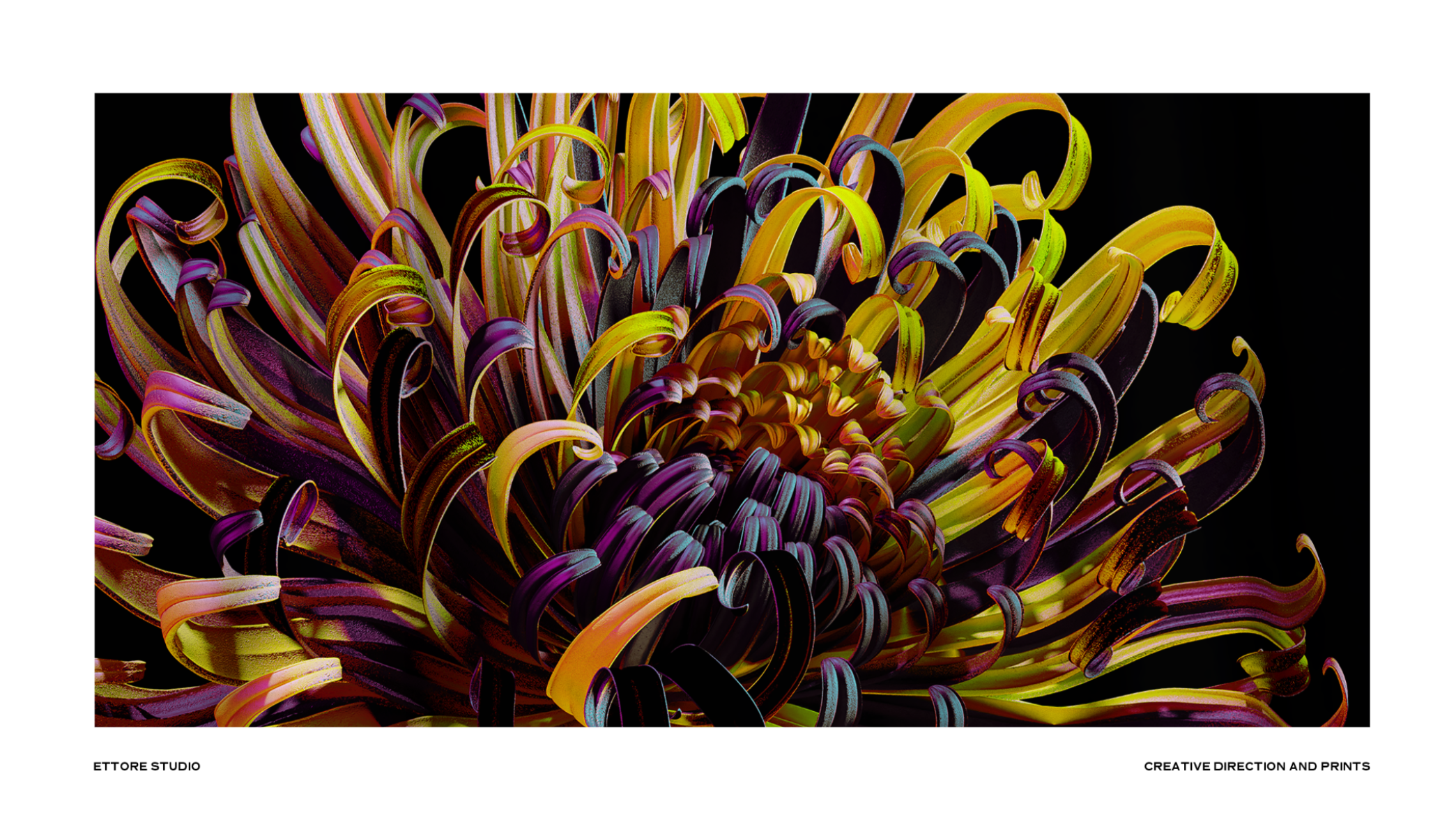 Ettore studio - creative direction, print design & photography